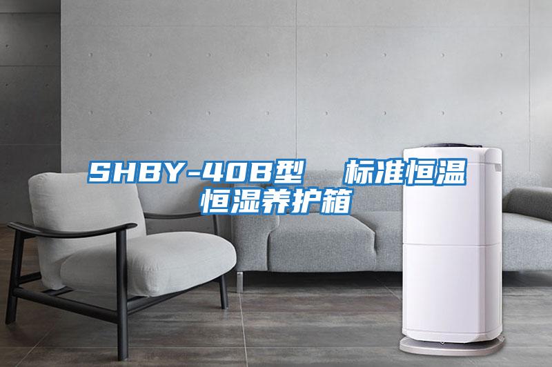 SHBY-40B型 標準恒溫恒濕養護箱
