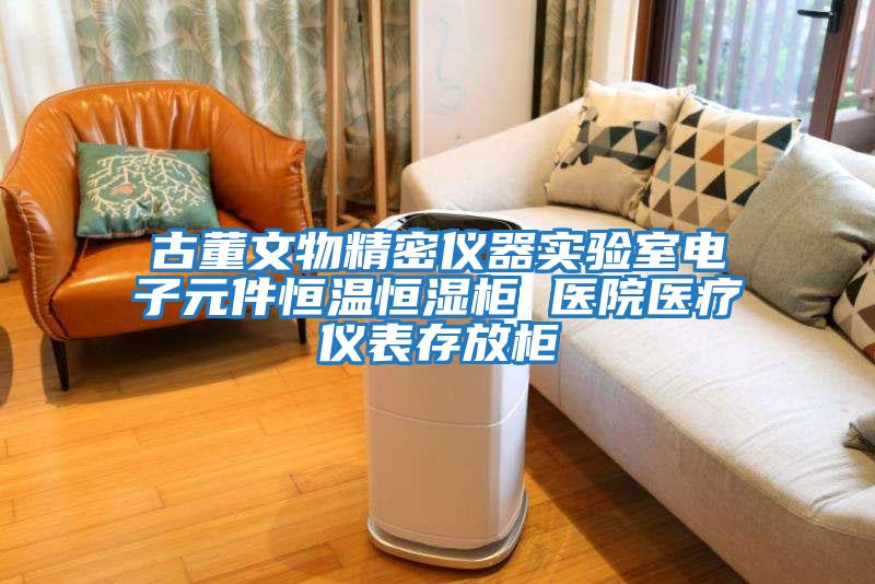 古董文物精密儀器實驗室電子元件恒溫恒濕柜 醫院醫療儀表存放柜