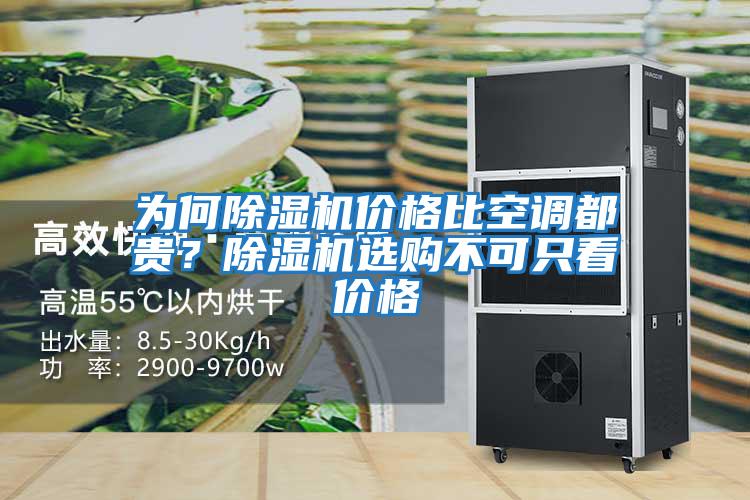 為何除濕機價格比空調都貴？除濕機選購不可只看價格