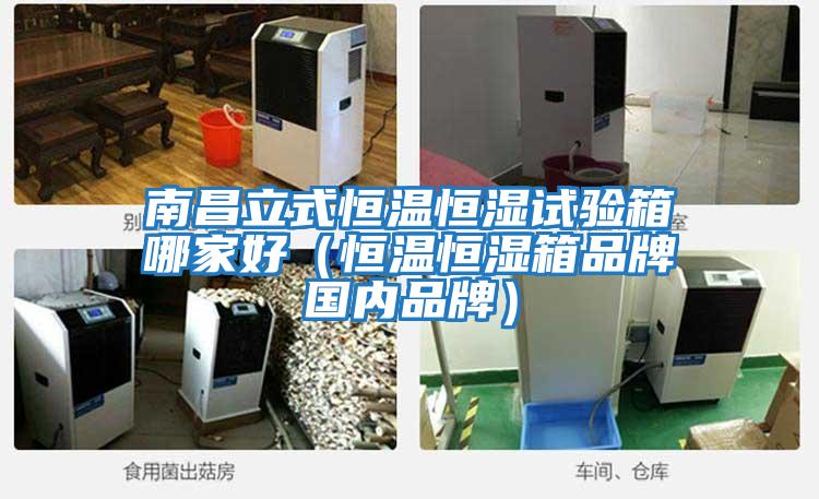 南昌立式恒溫恒濕試驗(yàn)箱哪家好(恒溫恒濕箱品牌國(guó)內(nèi)品牌)