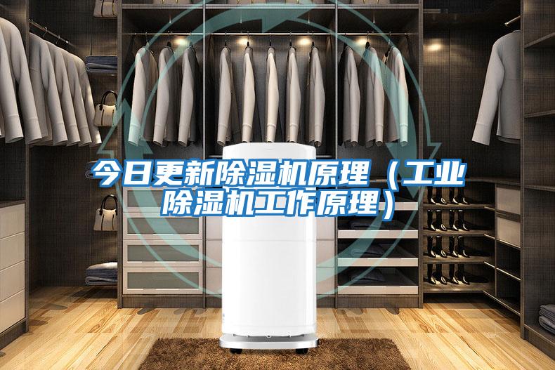 今日更新除濕機原理（工業除濕機工作原理）