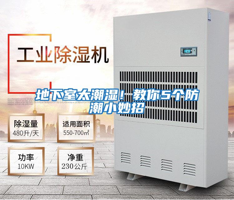 地下室太潮濕!教你5個(gè)防潮小妙招