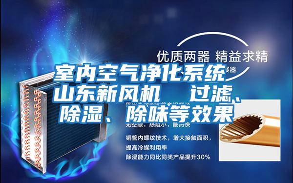 室內(nèi)空氣凈化系統(tǒng) 山東新風(fēng)機(jī)  過濾、除濕、除味等效果