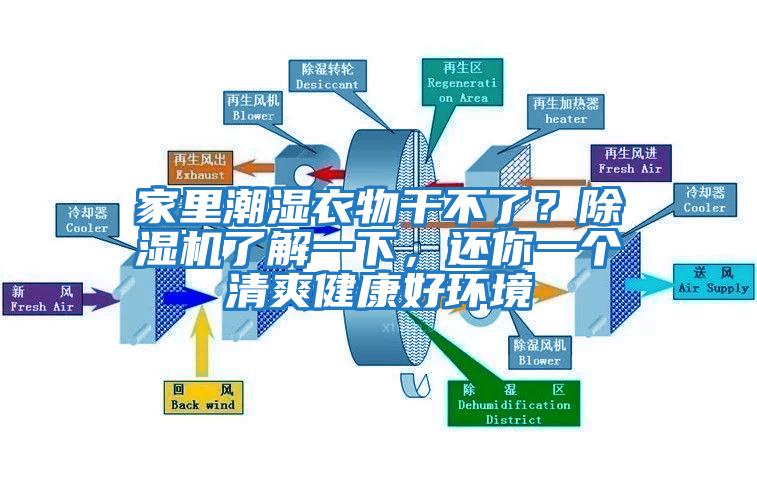家里潮濕衣物干不了?除濕機了解一下,還你一個清爽健康好環境