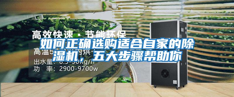 如何正確選購適合自家的除濕機，五大步驟幫助你