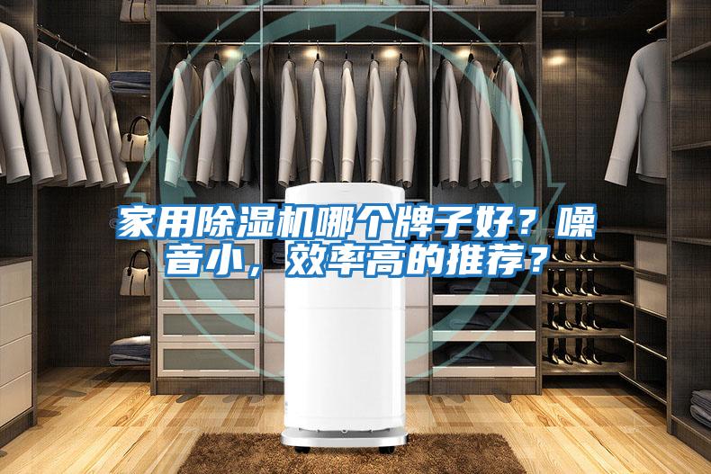 家用除濕機哪個牌子好？噪音小，效率高的推薦？