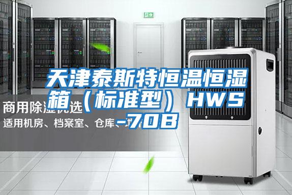 天津泰斯特恒溫恒濕箱(標準型)HWS-70B