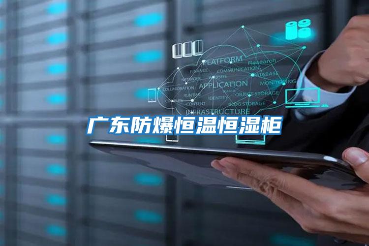 廣東防爆恒溫恒濕柜