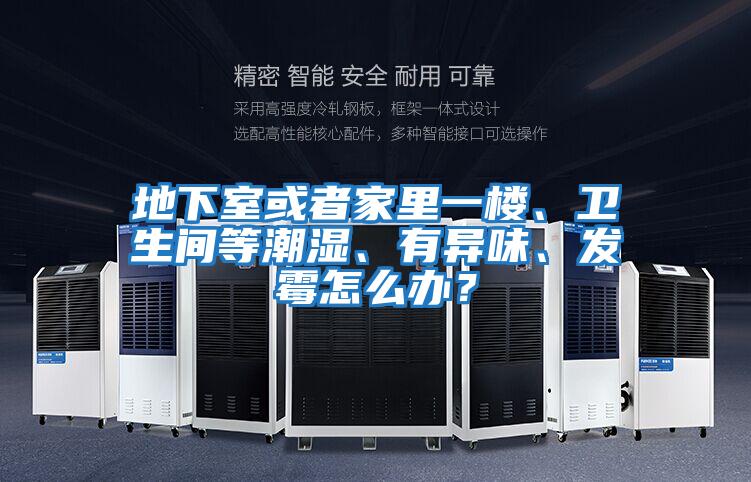 地下室或者家里一樓、衛生間等潮濕、有異味、發霉怎么辦？