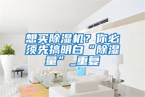 想買除濕機(jī)？你必須先搞明白“除濕量”_重復(fù)