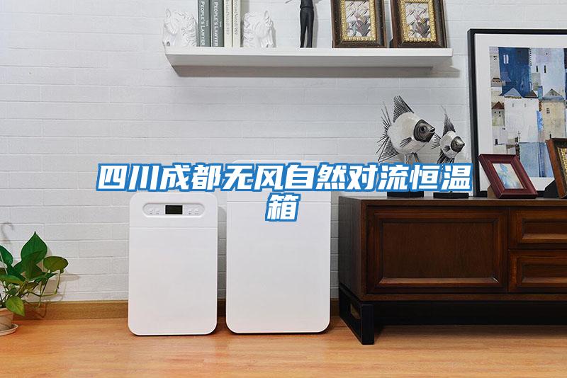 四川成都無風(fēng)自然對(duì)流恒溫箱