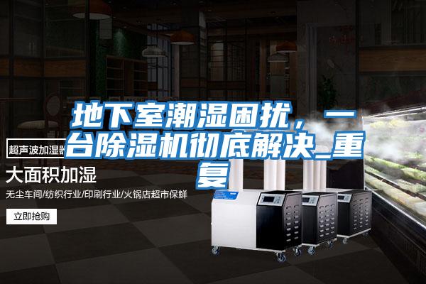 地下室潮濕困擾，一臺除濕機徹底解決_重復