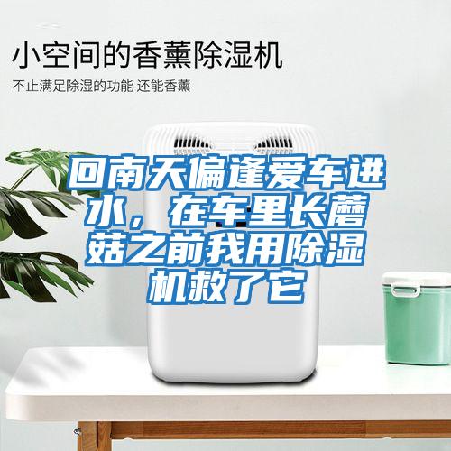 回南天偏逢愛車進水，在車里長蘑菇之前我用除濕機救了它