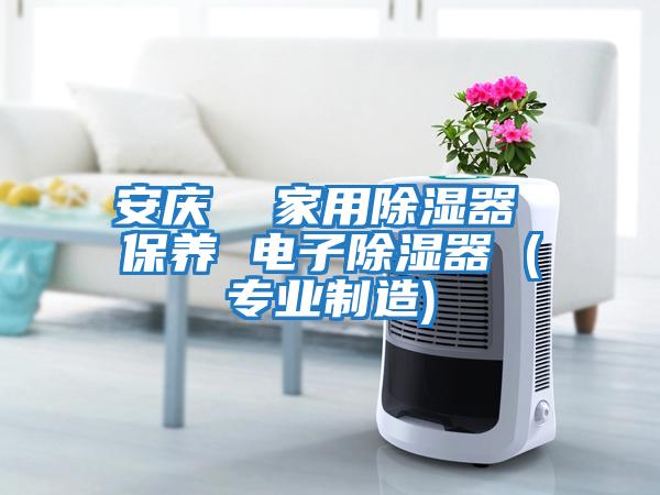 安慶 家用除濕器 保養 電子除濕器 (專業制造)