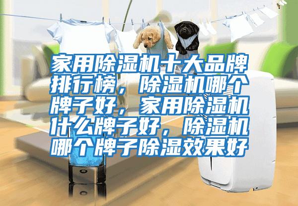 家用除濕機十大品牌排行榜，除濕機哪個牌子好，家用除濕機什么牌子好，除濕機哪個牌子除濕效果好