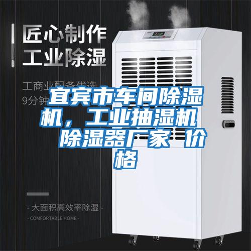 宜賓市車間除濕機，工業抽濕機  除濕器廠家 價格