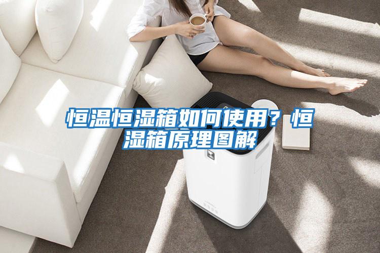 恒溫恒濕箱如何使用？恒濕箱原理圖解