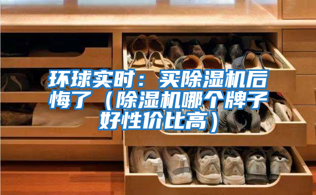 環(huán)球?qū)崟r(shí):買除濕機(jī)后悔了(除濕機(jī)哪個(gè)牌子好性價(jià)比高)