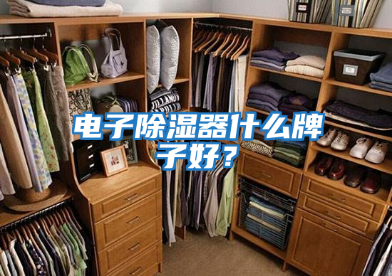 電子除濕器什么牌子好？