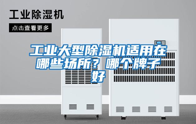 工業大型除濕機適用在哪些場所？哪個牌子好