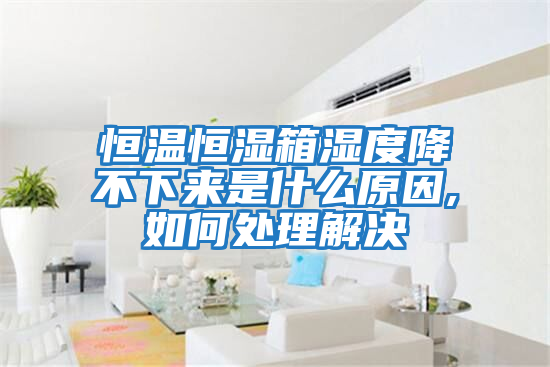 恒溫恒濕箱濕度降不下來(lái)是什么原因,如何處理解決