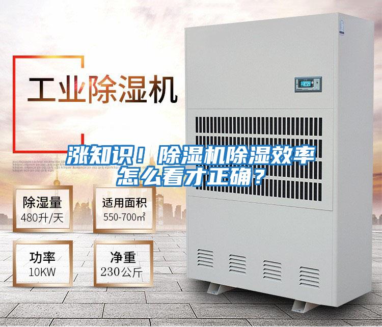漲知識！除濕機除濕效率怎么看才正確？
