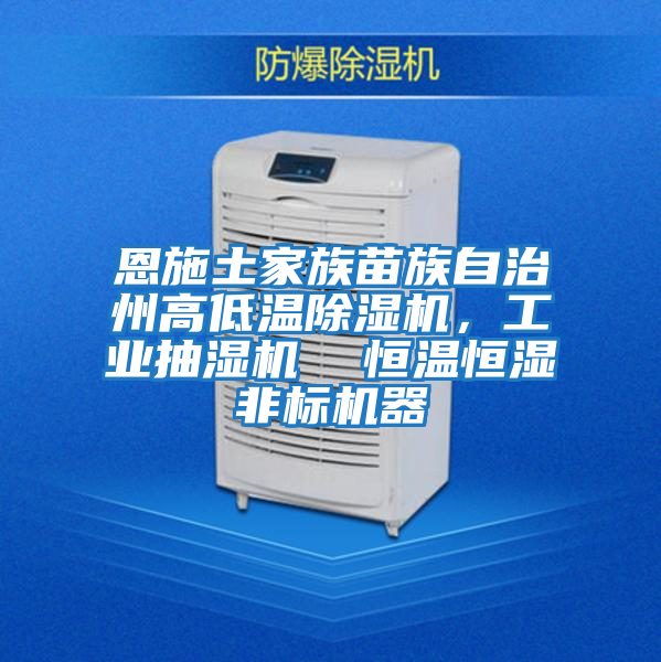 恩施土家族苗族自治州高低溫除濕機,工業抽濕機 恒溫恒濕非標機器