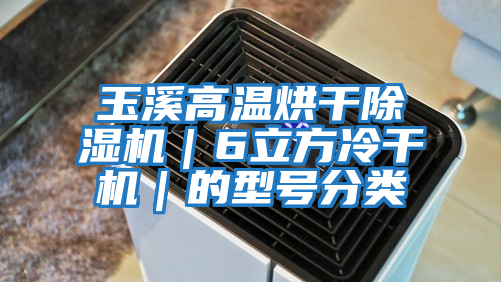 玉溪高溫烘干除濕機(jī)|6立方冷干機(jī)|的型號(hào)分類