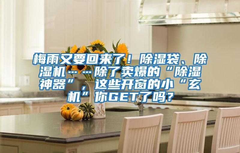 梅雨又要回來了!除濕袋、除濕機……除了賣爆的“除濕神器”,這些開窗的小“玄機”你GET了嗎?
