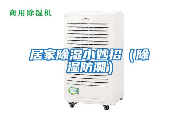 居家除濕小妙招(除濕防潮)