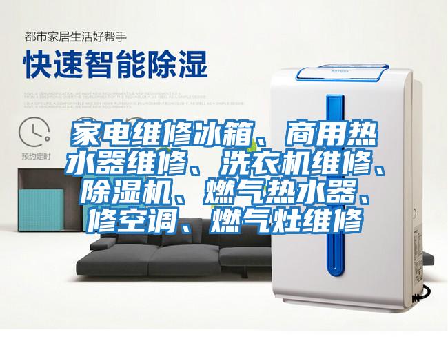 家電維修冰箱、商用熱水器維修、洗衣機維修、除濕機、燃氣熱水器、修空調、燃氣灶維修