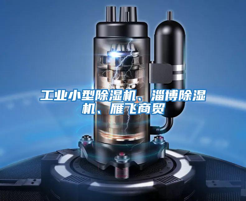 工業小型除濕機、淄博除濕機、雁飛商貿
