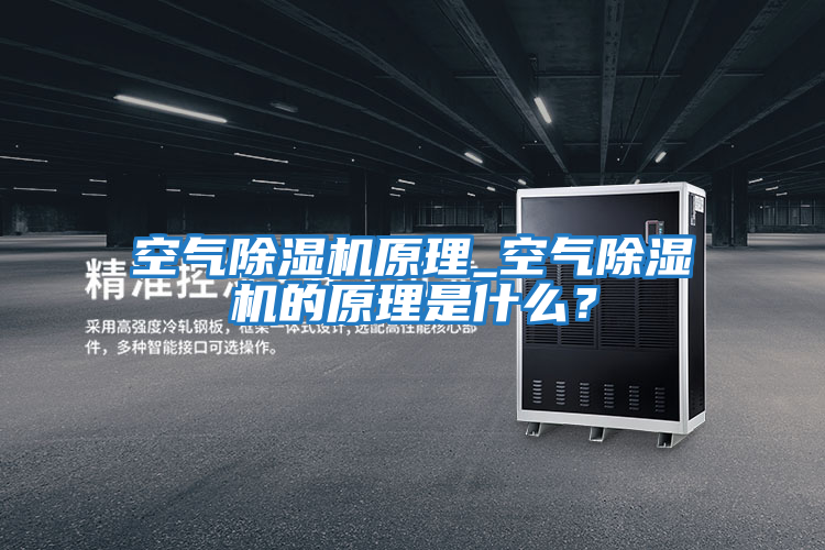 空氣除濕機(jī)原理_空氣除濕機(jī)的原理是什么？