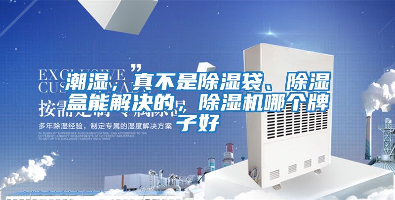 潮濕，真不是除濕袋、除濕盒能解決的，除濕機哪個牌子好