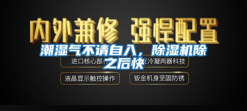潮濕氣不請自入，除濕機除之后快