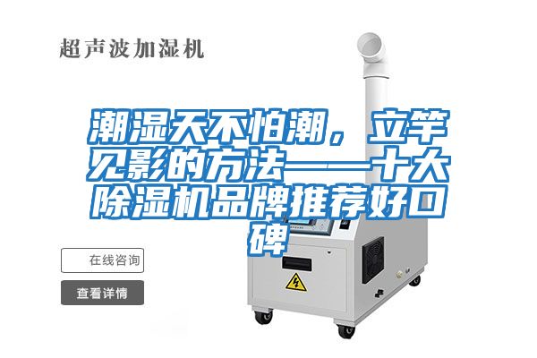 潮濕天不怕潮，立竿見影的方法——十大除濕機品牌推薦好口碑