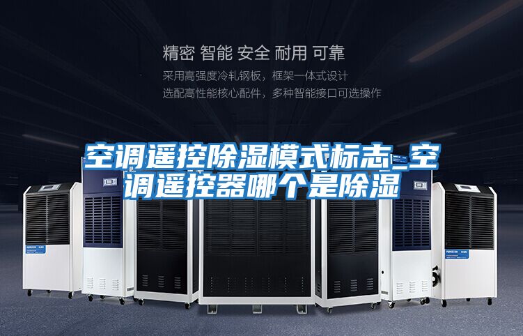 空調(diào)遙控除濕模式標志_空調(diào)遙控器哪個是除濕