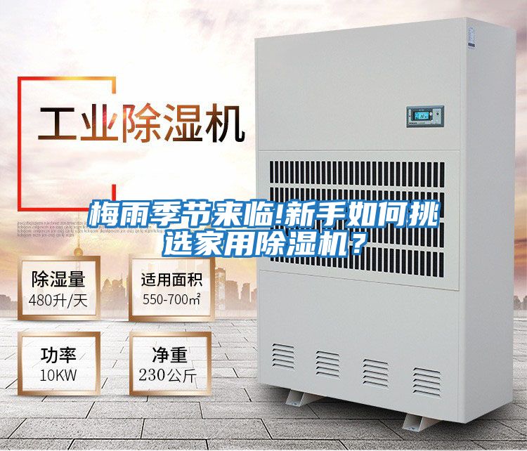 梅雨季節(jié)來臨!新手如何挑選家用除濕機?