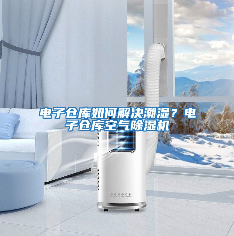 電子倉庫如何解決潮濕?電子倉庫空氣除濕機(jī)