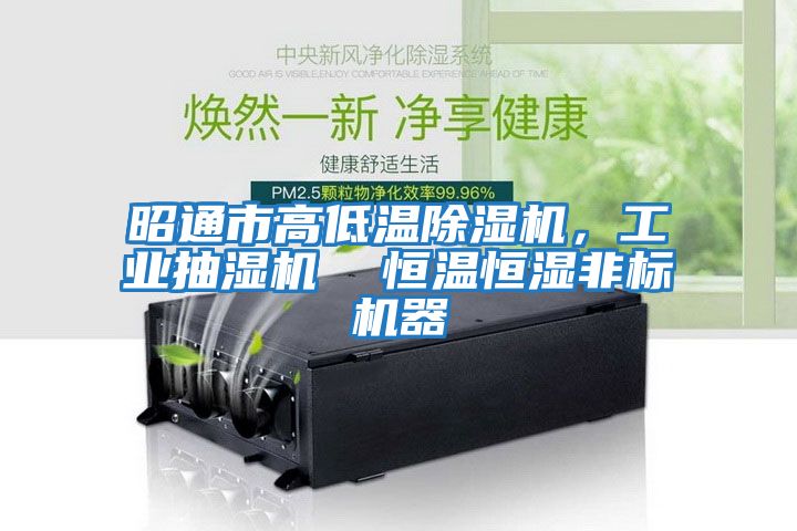 昭通市高低溫除濕機,工業抽濕機 恒溫恒濕非標機器