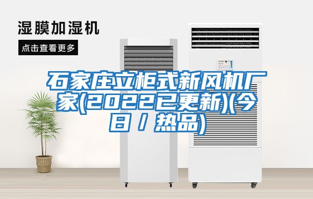 石家莊立柜式新風(fēng)機(jī)廠家(2022已更新)(今日／熱品)