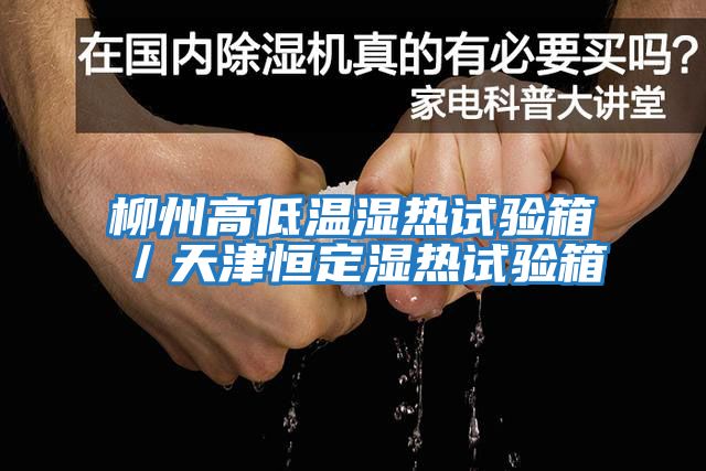 柳州高低溫濕熱試驗箱／天津恒定濕熱試驗箱
