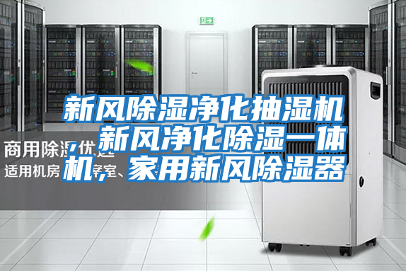新風除濕凈化抽濕機，新風凈化除濕一體機，家用新風除濕器