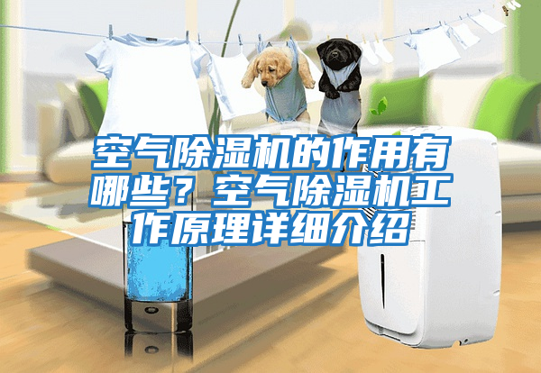 空氣除濕機的作用有哪些？空氣除濕機工作原理詳細介紹