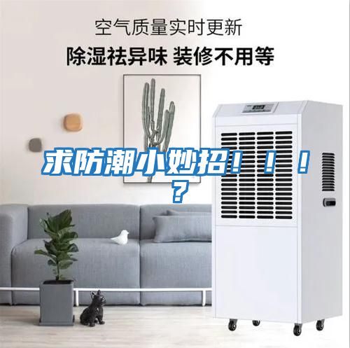 求防潮小妙招?。。。?></div>
								<div   id=