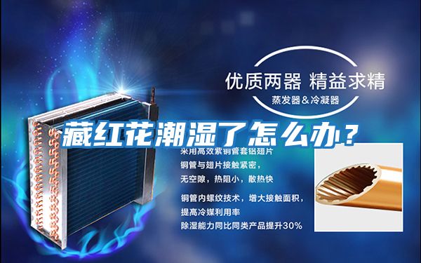 藏紅花潮濕了怎么辦？