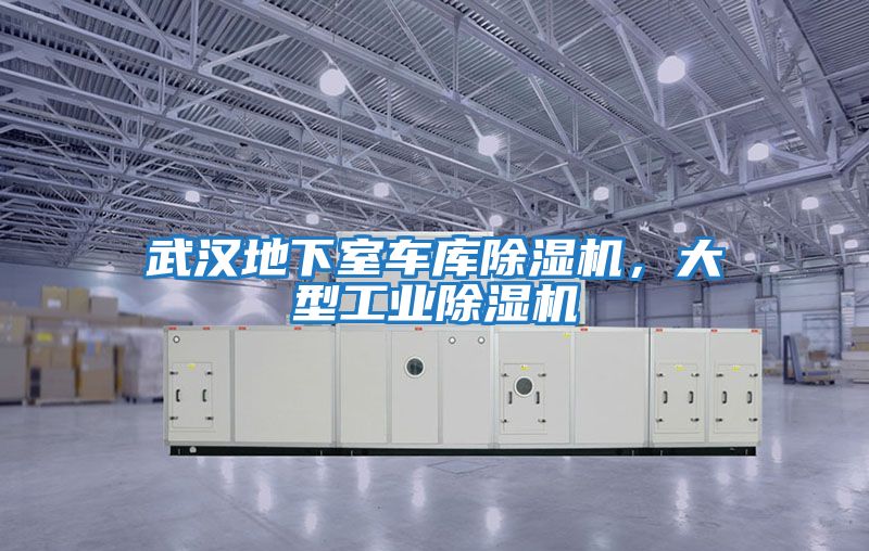 武漢地下室車庫除濕機,大型工業(yè)除濕機
