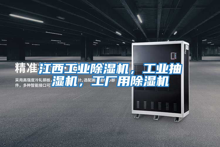 江西工業除濕機，工業抽濕機，工廠用除濕機