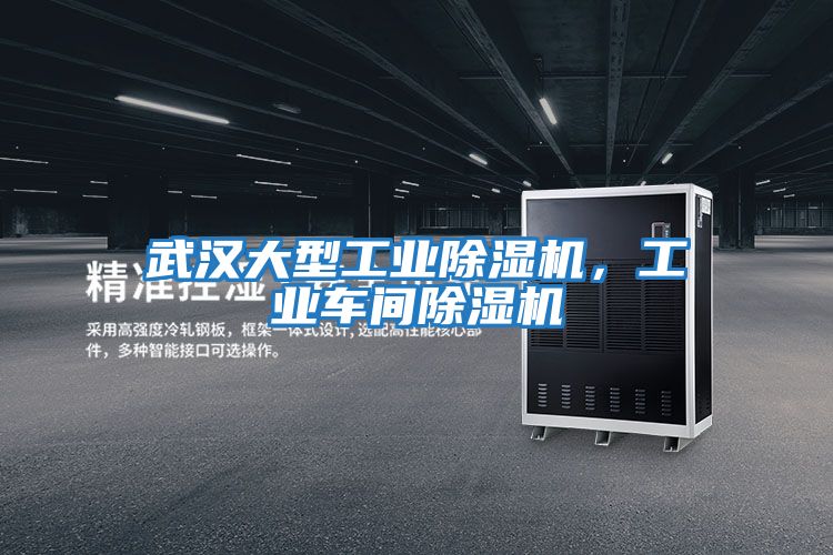 武漢大型工業(yè)除濕機(jī)，工業(yè)車(chē)間除濕機(jī)
