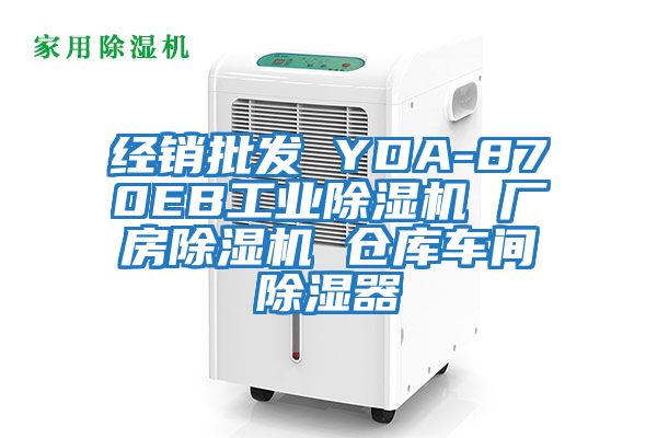 經(jīng)銷(xiāo)批發(fā) YDA-870EB工業(yè)除濕機(jī) 廠(chǎng)房除濕機(jī) 倉(cāng)庫(kù)車(chē)間除濕器